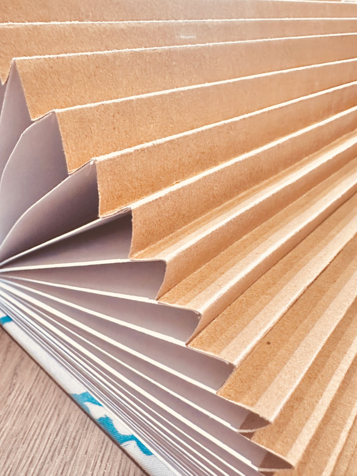 Spine of The Advent Project's 2025 collection